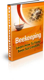 Beekeeping: Learn How To Keep Bees Successfully